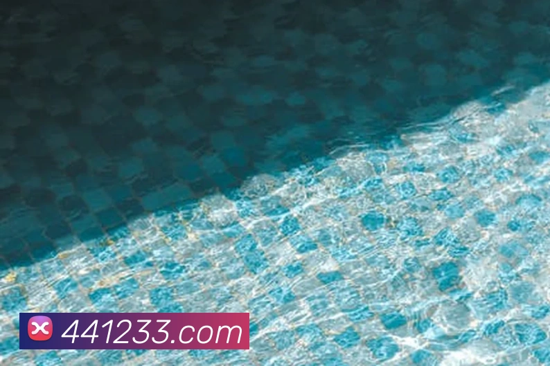 奖项证书